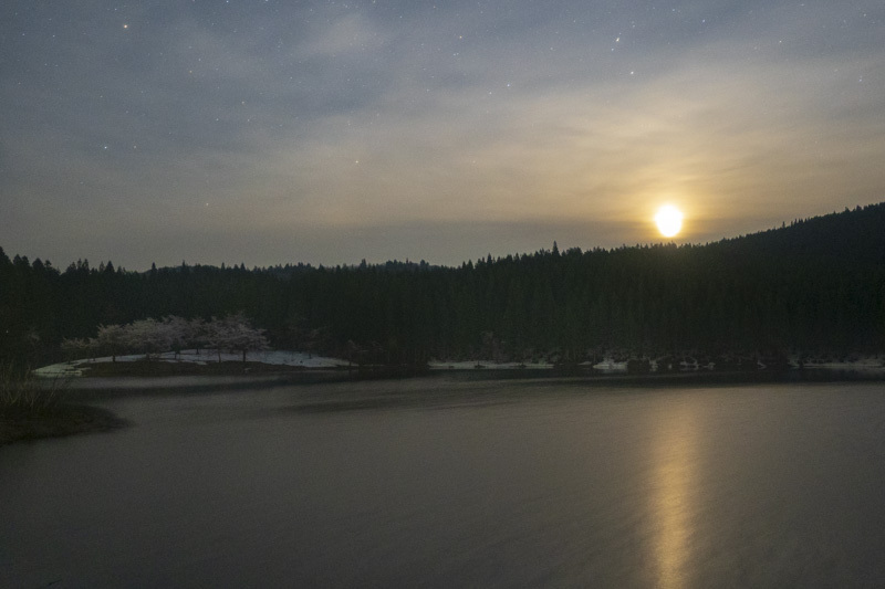 DSC08802.jpg