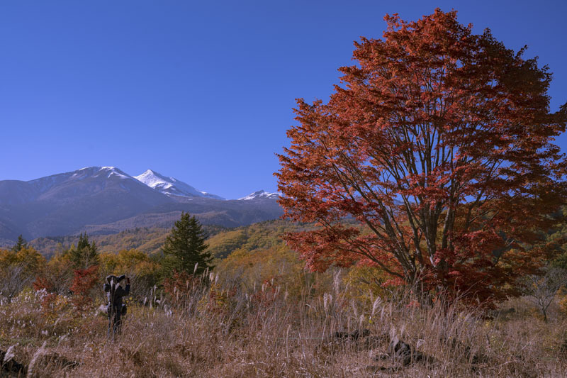 DSC09456800.jpg