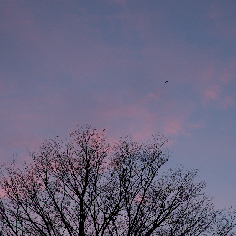IMG_1831-1s.jpg