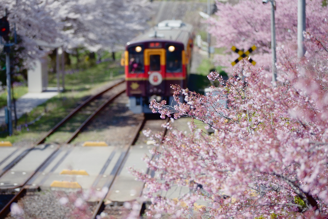 IMG_2596-Edit-Edit-1s.jpg