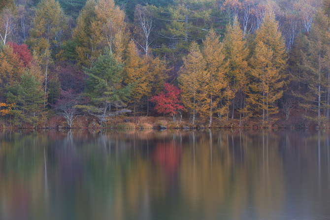 IMG_3182-Edit-1s.jpg