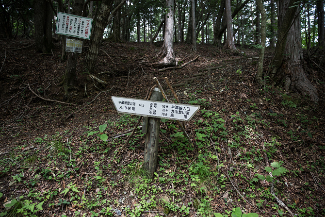IMG_3188-1s.jpg