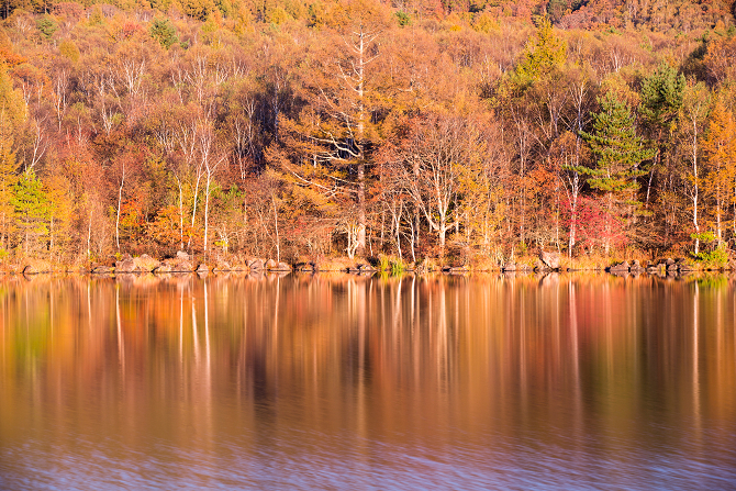 IMG_3208-Edit-1s.jpg