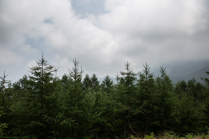 IMG_3215-1s.jpg