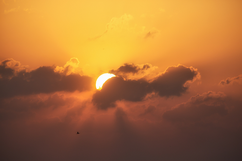 IMG_4073-Edit-1s.jpg