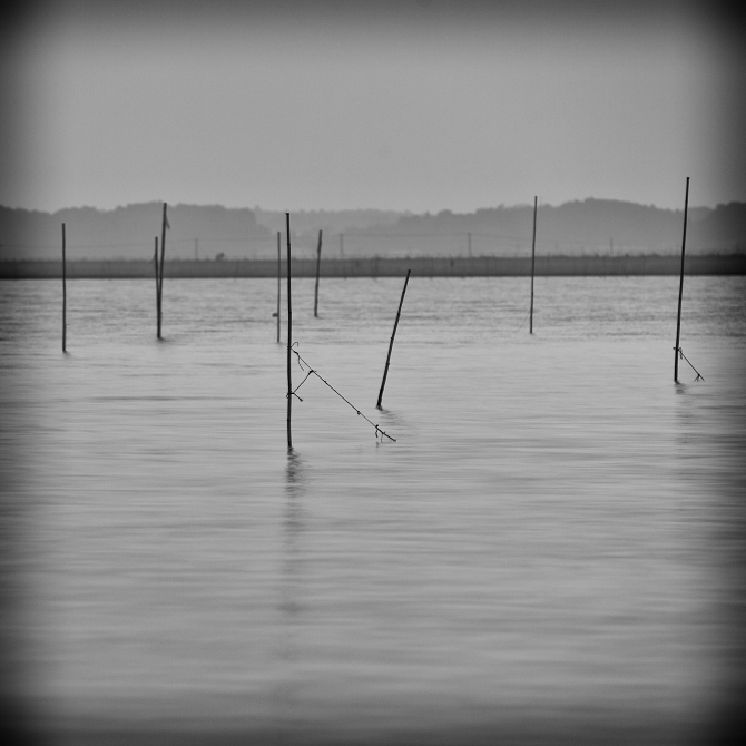 IMG_4320-Edit-1s.jpg