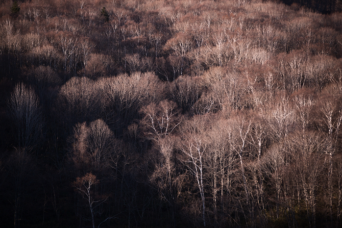 IMG_7321-Edit-1s.jpg