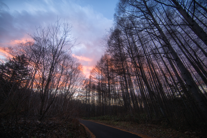 IMG_7789-Edit-1s.jpg