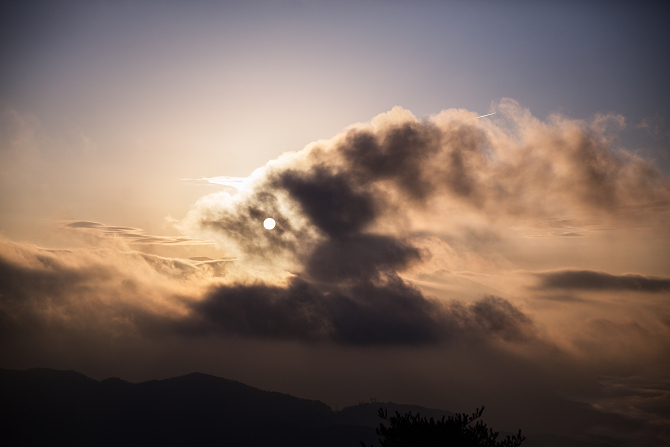 IMG_8462-Edit-1s.jpg