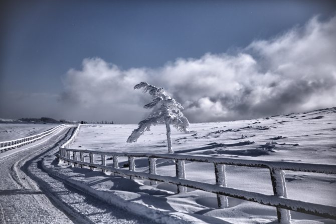 IMG_9105-Edit-1s.jpg
