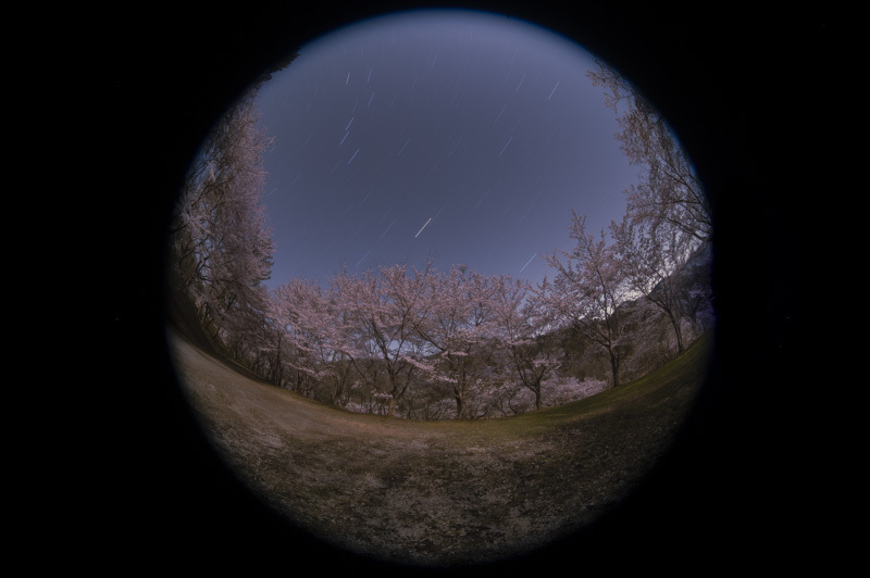 Z60_0746.jpg