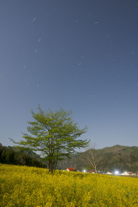 Z60_0926-強化-NR.jpg