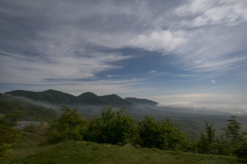 Z60_1135.jpg