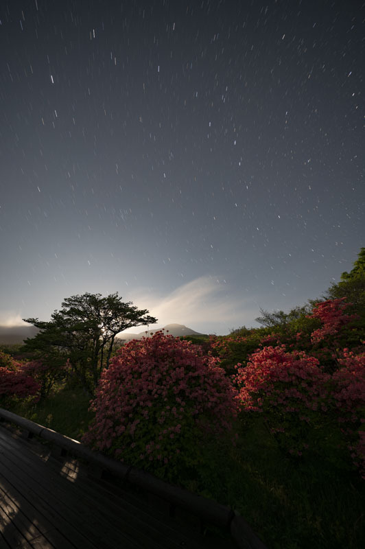 Z60_2653-強化-NR.jpg