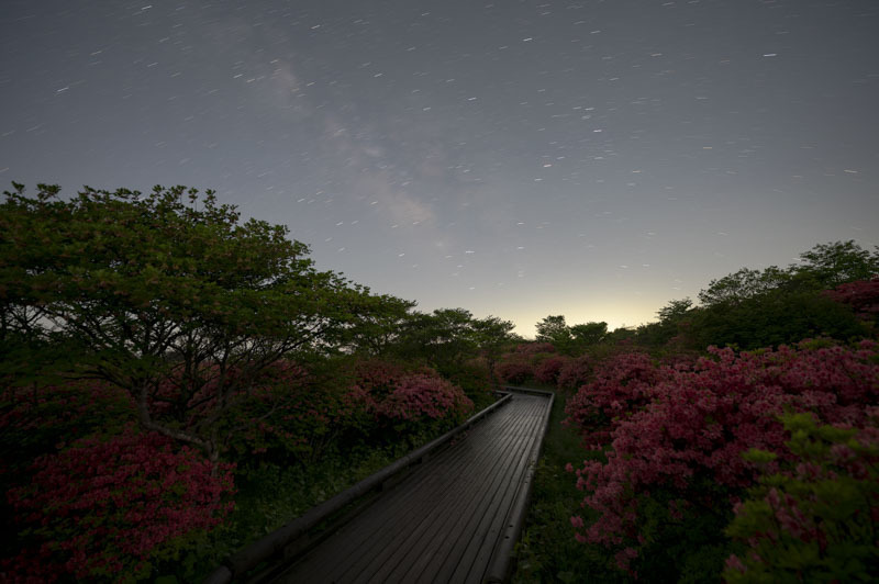 Z60_2660-強化-NR.jpg