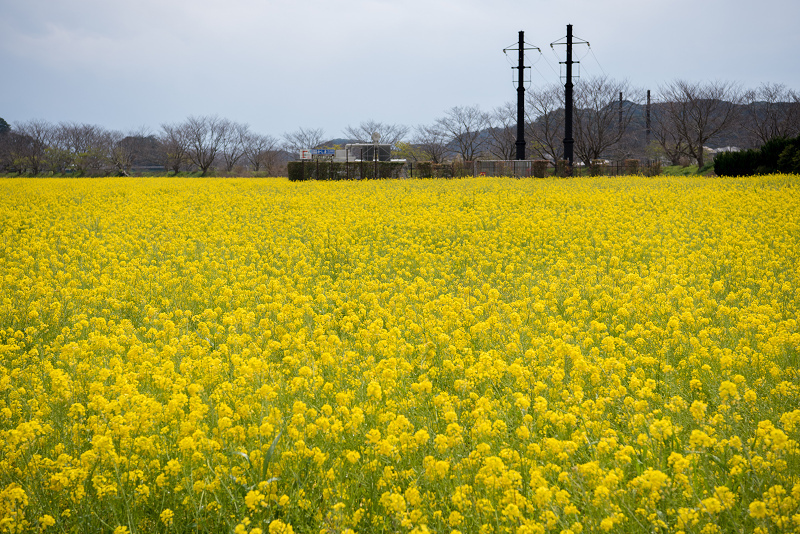 s810_1413.jpg