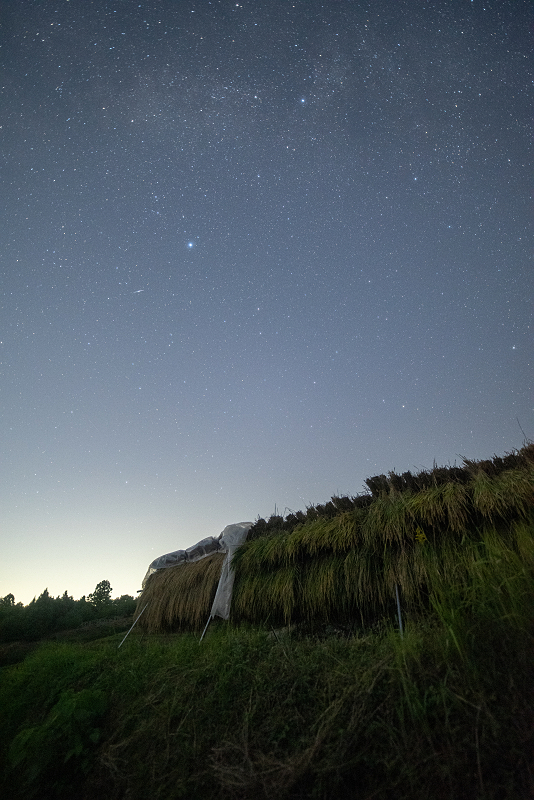 s810_1418.jpg