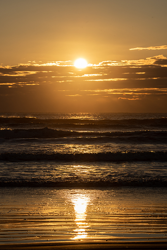 s810_2860.jpg