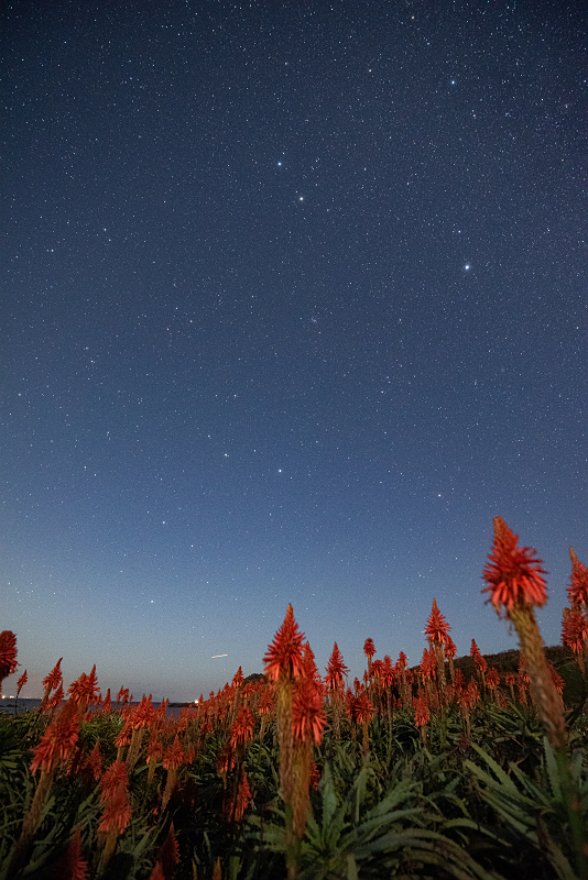 s810_3370.jpg