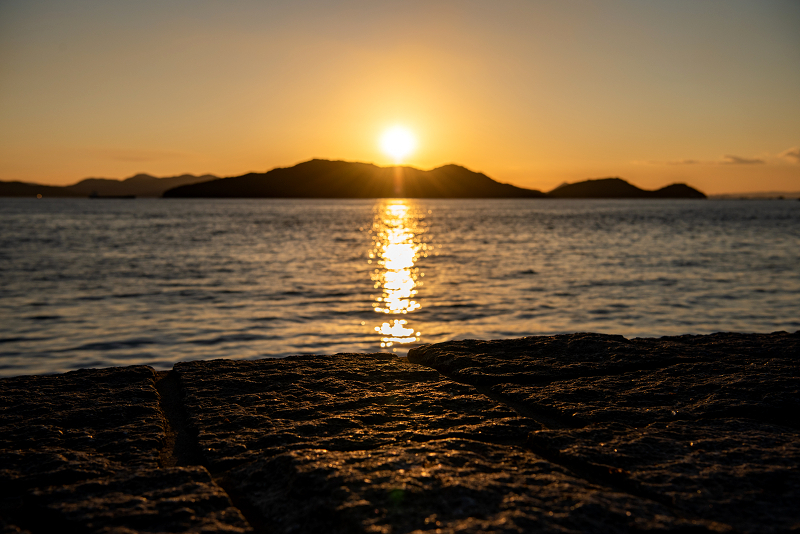 s810_3949.jpg