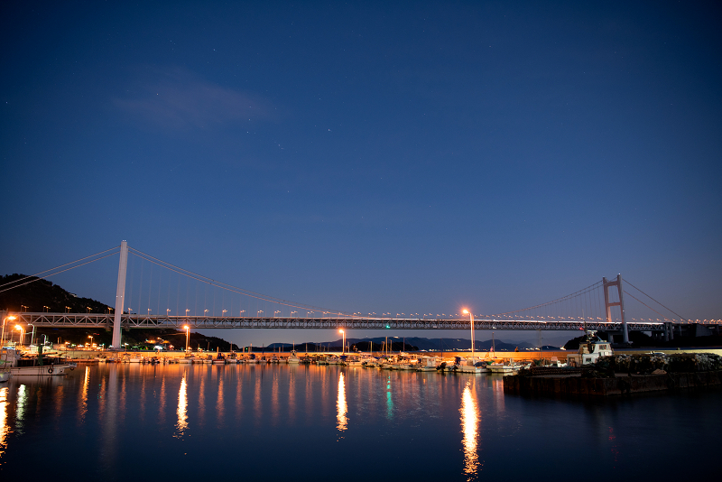 s810_3976.jpg