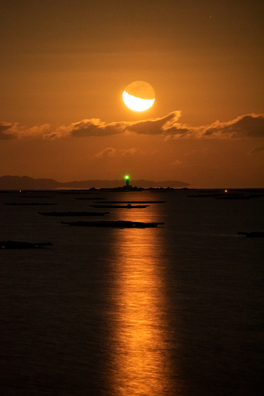 s810_4244.jpg