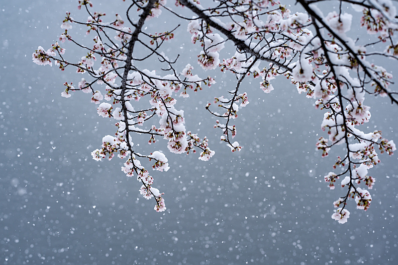 s810_7176-Edit.jpg