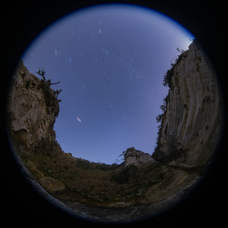 s810_8229.jpg