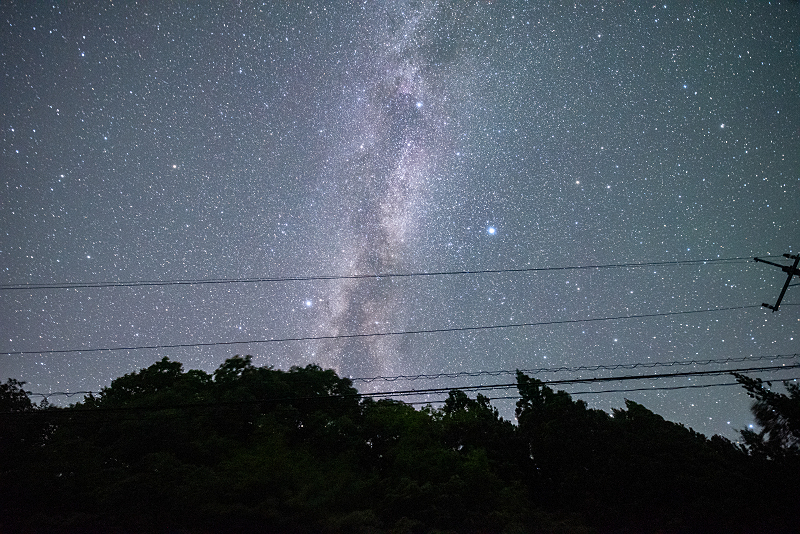 s810_8304.jpg