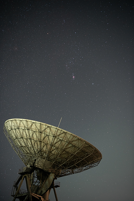 s81A_0006.jpg
