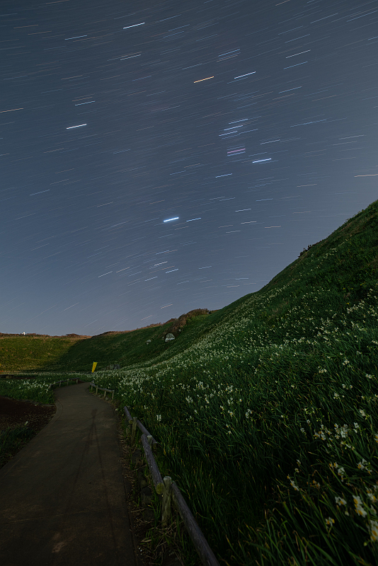 s81A_0018.jpg