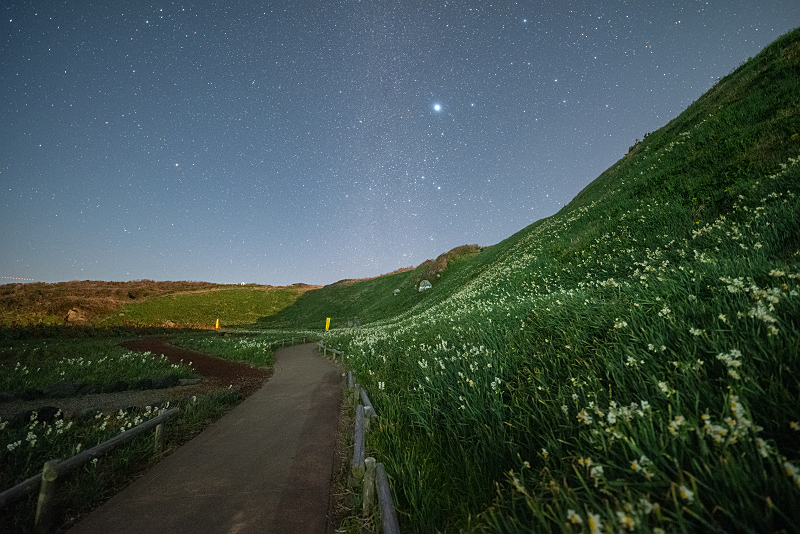 s81A_0022.jpg