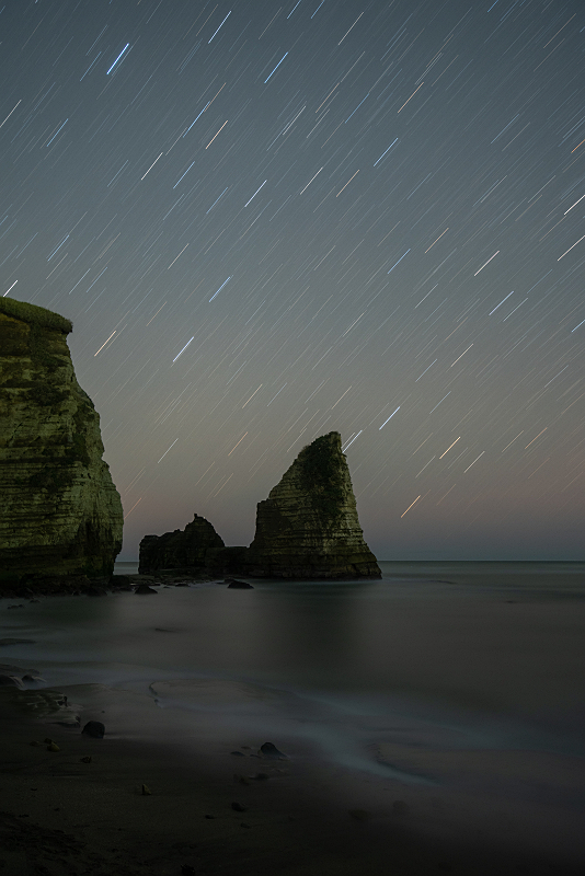 s81A_0049.jpg
