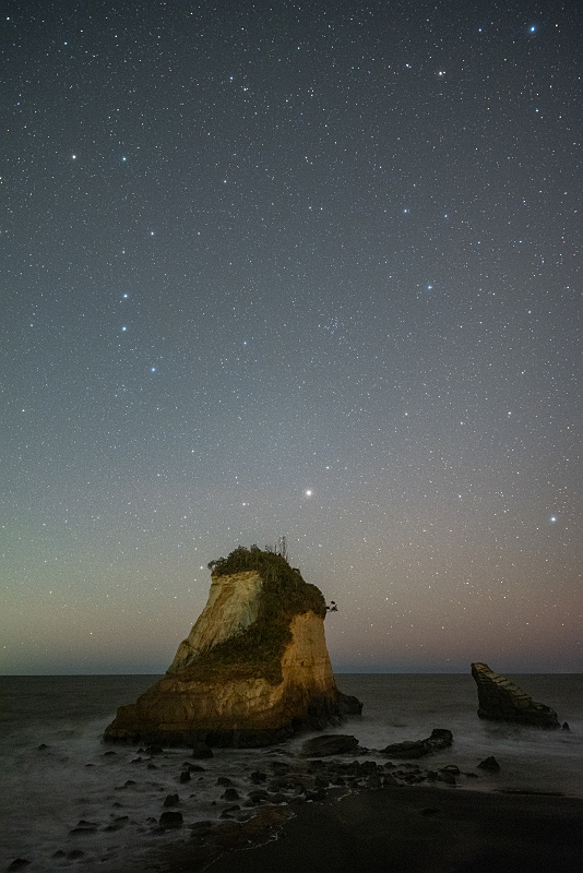 s81A_0059.jpg