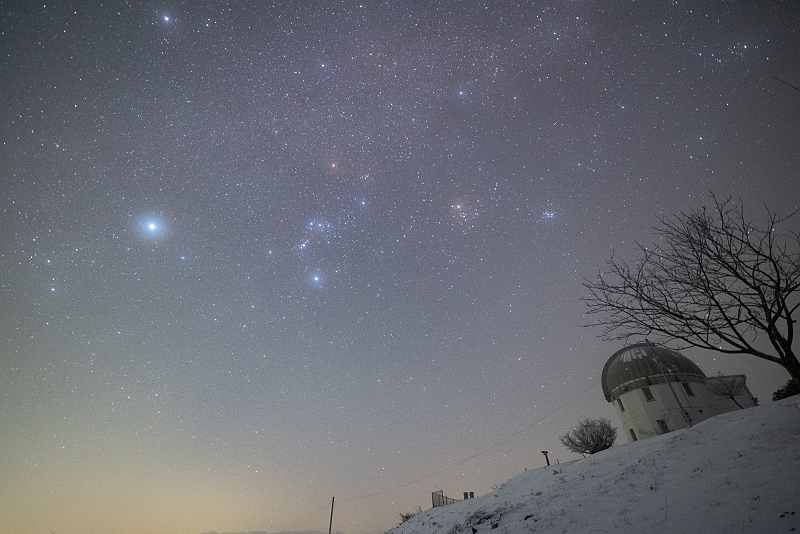 s81A_0061.jpg