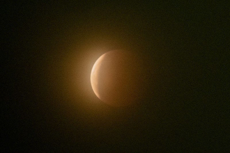 s81A_0064-1.jpg
