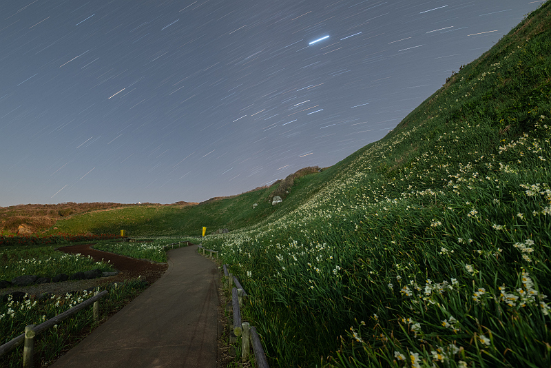 s81A_0087.jpg
