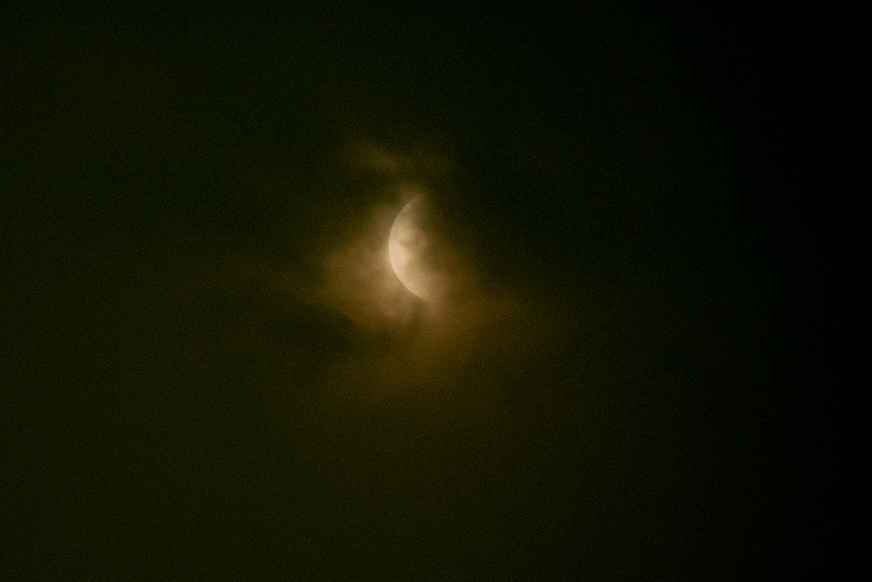 s81A_0105-1.jpg