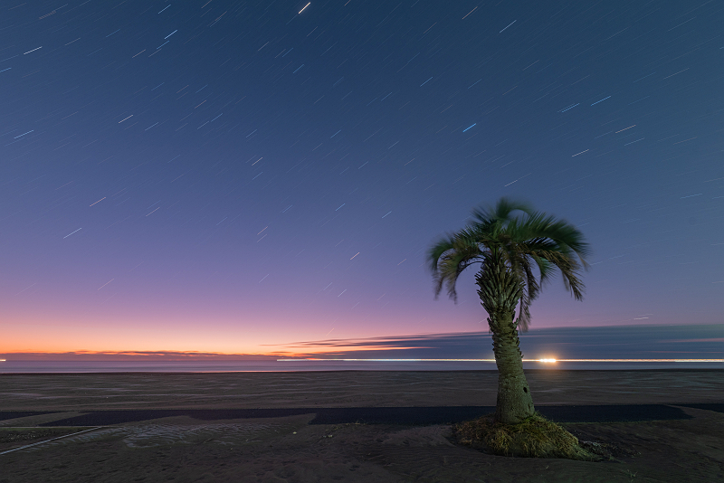 s81A_0168.jpg