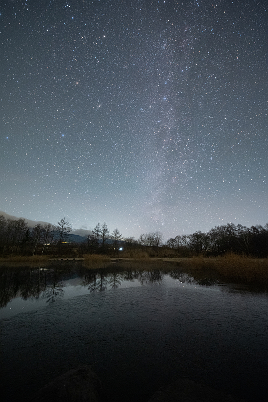 s81A_0192.jpg