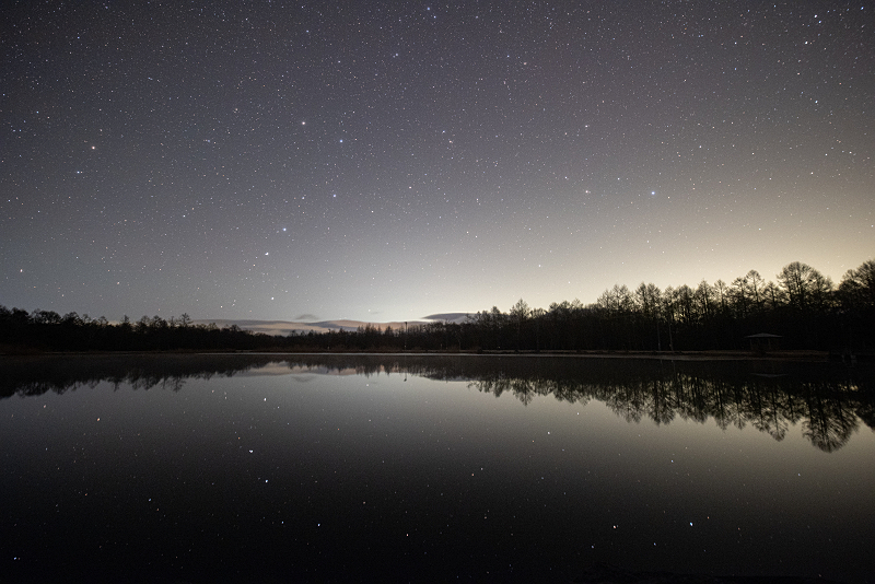 s81A_0205.jpg