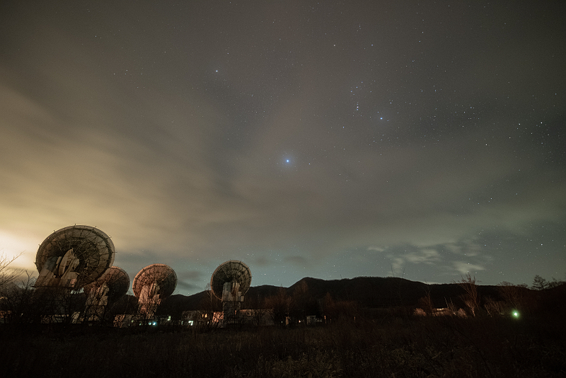 s81A_0315.jpg