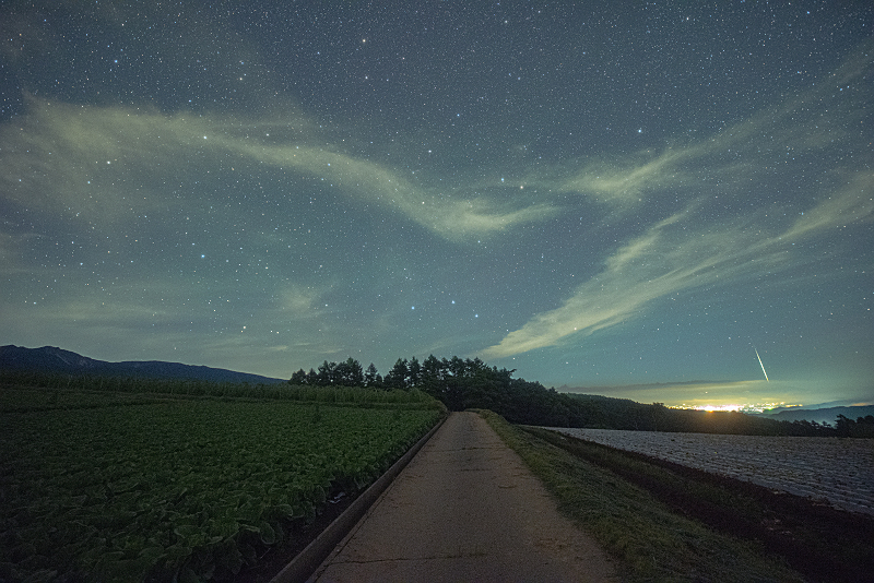 s81A_0321.jpg