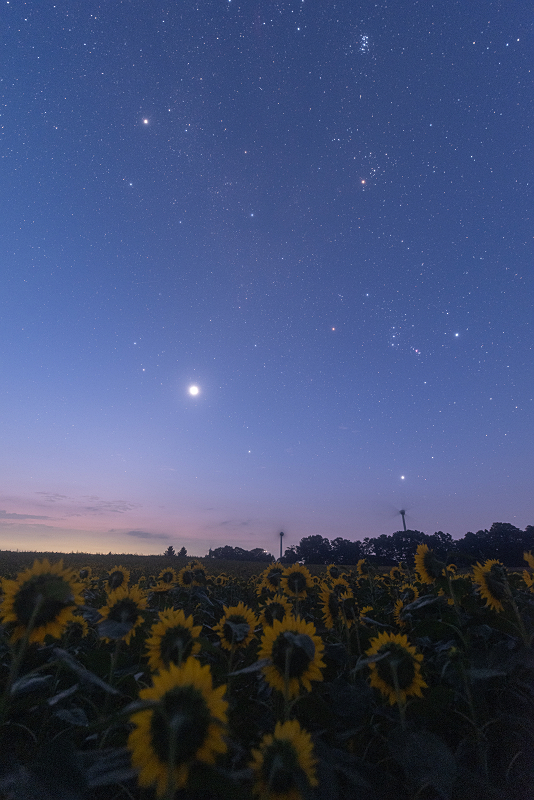 s81A_0482.jpg