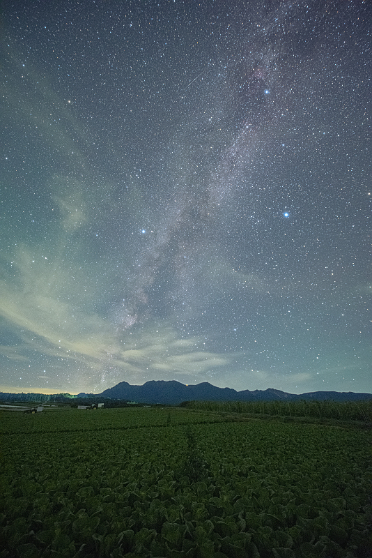 s81A_0591.jpg