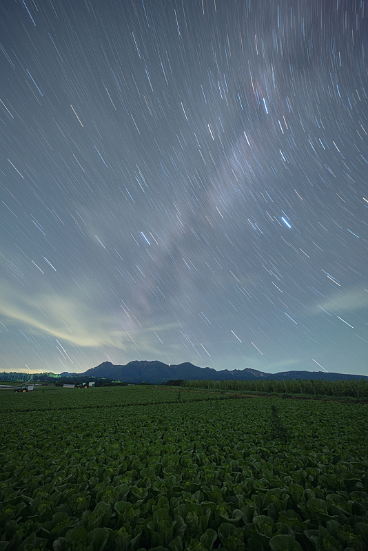 s81A_0626.jpg