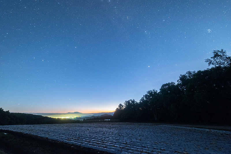 s81A_0630.jpg