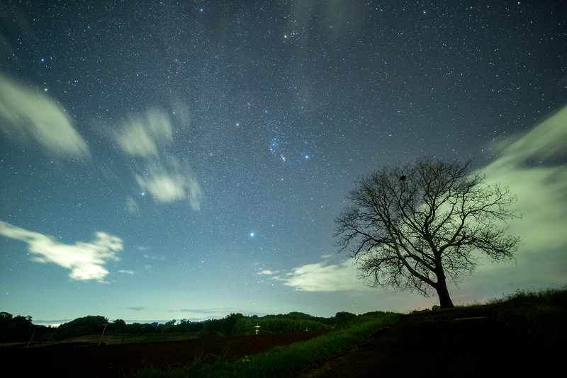 s81A_0665.jpg