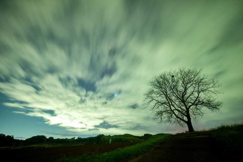 s81A_0742.jpg