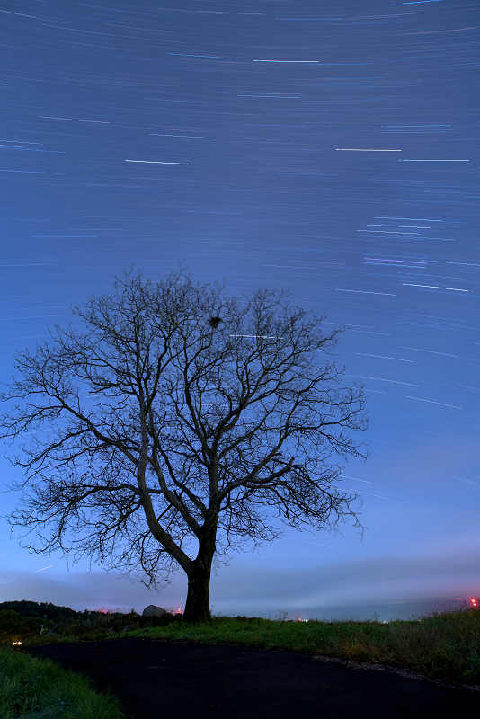 s81A_1034.jpg